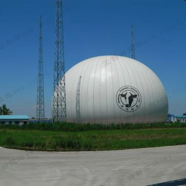 Duze cu gaz cu membrană dublă în membrană PVDF